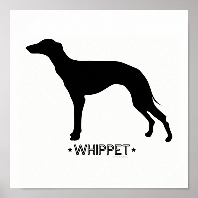 Whippet Print Poster (Vorne)