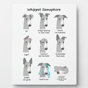 Whippet Semaphore Fotoplatte