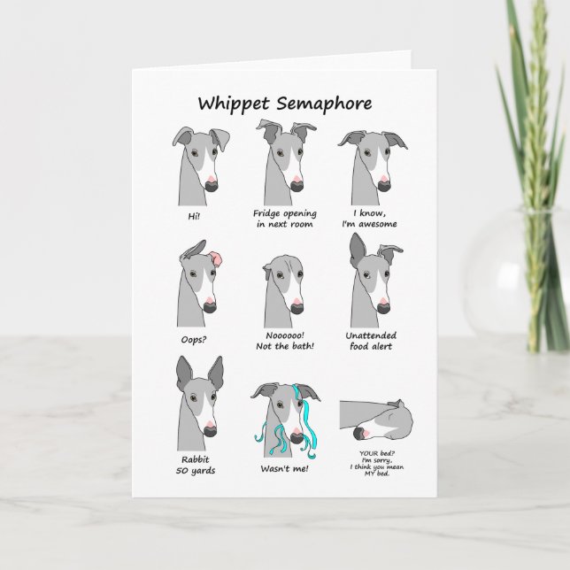 Whippet Semaphore Karte (Vorderseite)