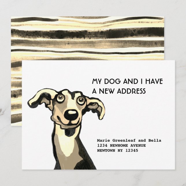 Whippet und ich sind umgezogen, Flat Announction C Ankündigung (Vorne/Hinten)