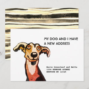 Whippet und ich sind umgezogen, Flat Announction C Ankündigung