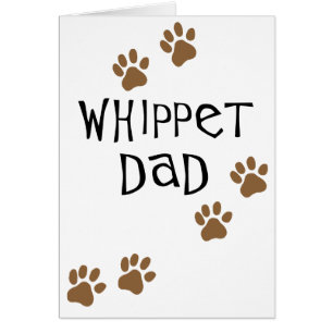 Whippet Vater für Whippet HundeVäter