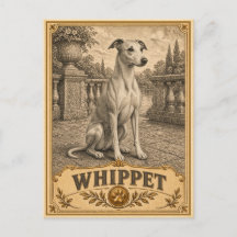 Whippet, Vintage Heritage Hund