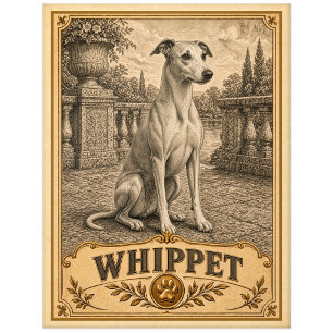 Whippet, Vintage Heritage Hund Postkarte