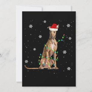 Whippet Weihnachtslicht Süßer Weihnachtsmann Whipp Feiertagskarte