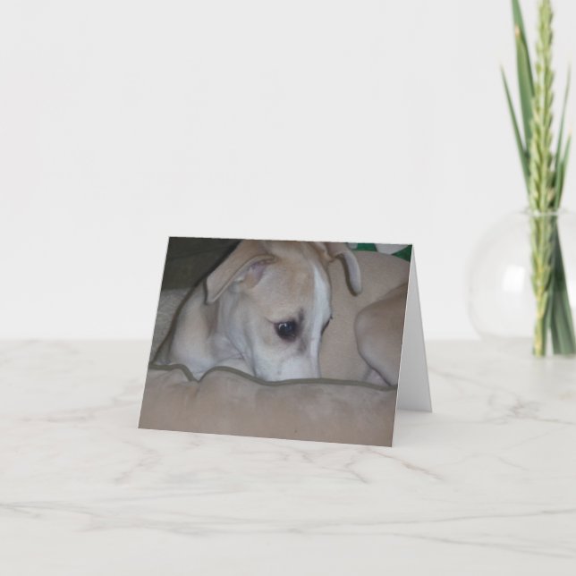 Whippet Welpe notecard Karte (Vorderseite)