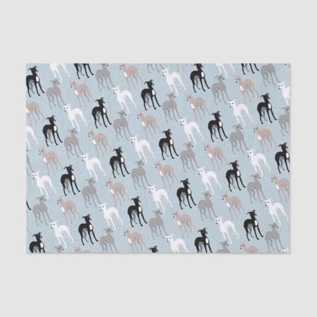 Whippets oder italienisches Greyhounds-Tissue Seidenpapier (Vorderseite)