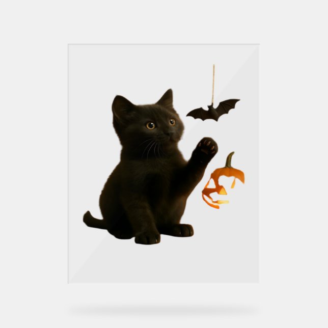 Whisker Hex & Lantern Glow Classic T - Shirt Acrylschild (Vorderseite)