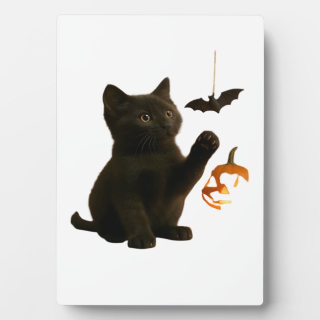 Whisker Hex & Lantern Glow Classic T-Shirt Fotoplatte (Vorderseite)