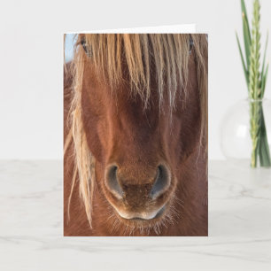 "Whiskers"-Karte Karte