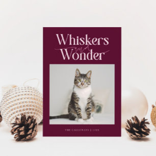 Whiskers & Wonder Cat Foto Cranberry Weihnachten