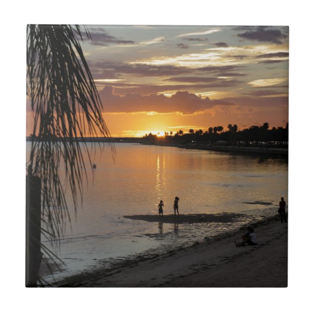 Whisky Joe Fliese (Vorderseite)