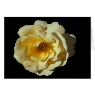 Whiskymac-Rosen-Karte