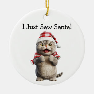 Whiskys und Winter Cheer Cat Ornament