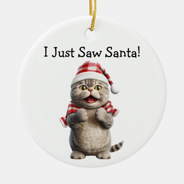 Whiskys und Winter Cheer Cat Ornament (Vorne)