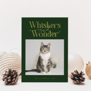 Whiskys & Wonder Cat Foto Grün Weihnachten