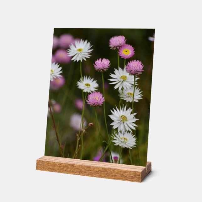 Whispers of Wildflowers Acrylschild (Winkel)