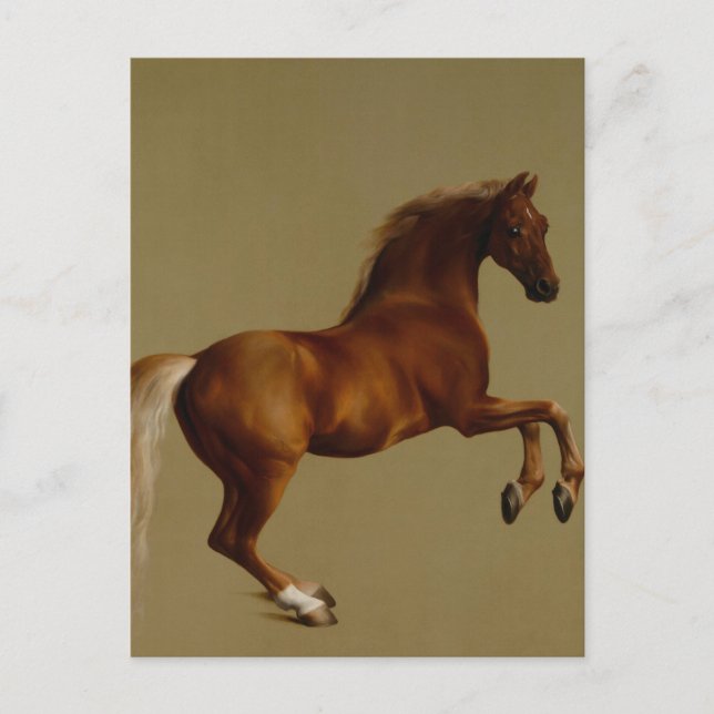 Whistlejacke Race Horse von George Stubbs Postkarte (Vorderseite)