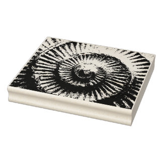 Whitby Ammonite Gummistempel