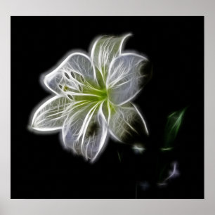 White-82698 Weiße Lilie Blume Naturschönheit Digit Poster