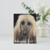 White Afghan Hound
