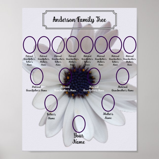 White African Daisy Oval Ancestor Photos Poster (Vorne)