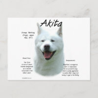 White Akita History