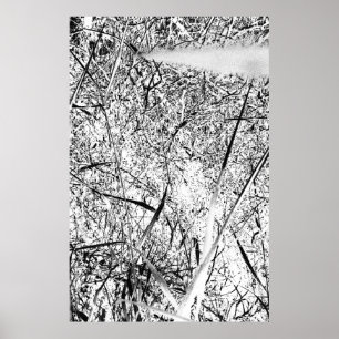 White Alien Grass Poster