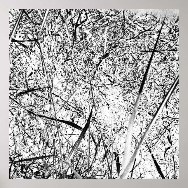 White Alien Grass Poster (Vorne)