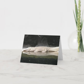 White Alligator Note Card Karte