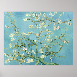 White almond blossom by Vincent Van Gogh Poster