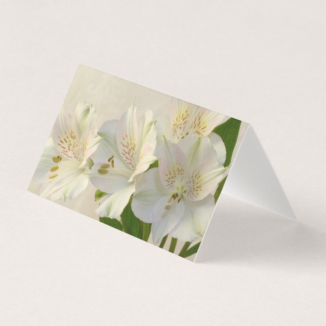 White Alstomeria Blume Card (Vorderseite)
