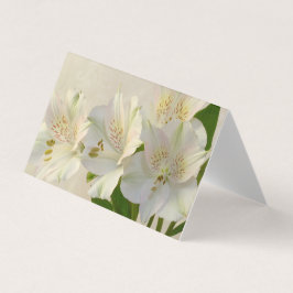 White Alstomeria Blume Card