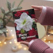 White Amaryllis Bloom Floral Weihnachtskarte