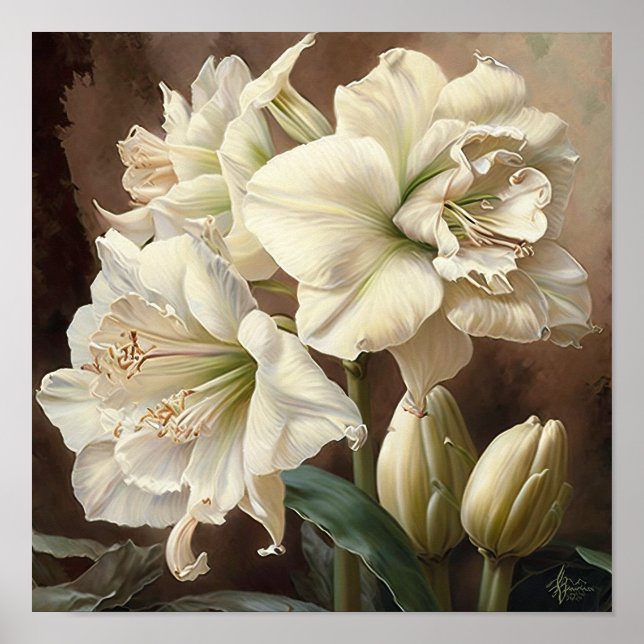 White Amaryllis Blume Art Print Poster (Vorne)