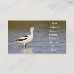 White American Avocet Visitenkarte