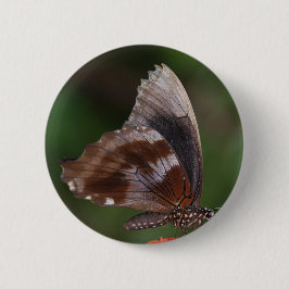 White and Brown Butterfly on Red Blume Button