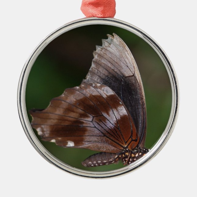 White and Brown Butterfly on Red Blume Ornament Aus Metall (Vorne)