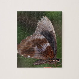 White and Brown Butterfly on Red Blume Puzzle