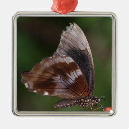 White and Brown Butterfly on Red Blume Silbernes Ornament