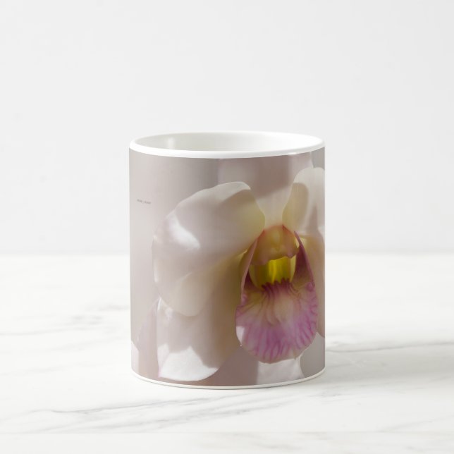 White and pink orchid flower on blurred background kaffeetasse (Mittel)