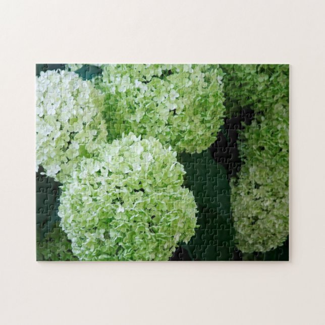White Annabelle Hydrangeas Puzzle (Horizontal)