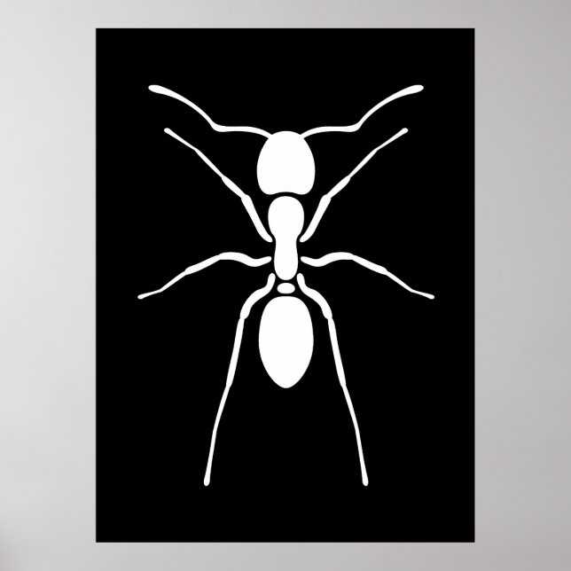 White Ant Poster (Vorne)