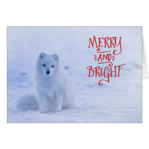 White Arctic Fox Weihnachtskarte