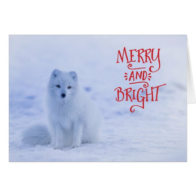 White Arctic Fox Weihnachtskarte (Vorderseite (Horizontal))