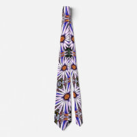 White Aster Blume