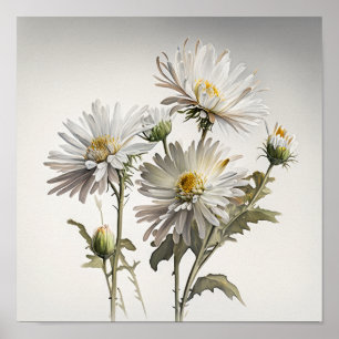 White Aster Blumen Art Print Poster