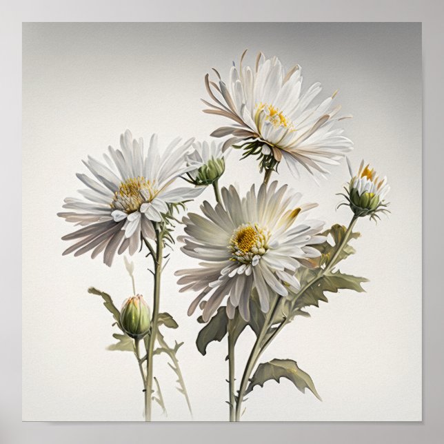 White Aster Blumen Art Print Poster (Vorne)