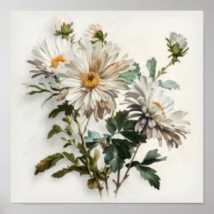 White Aster Blumen Art Print Poster