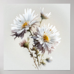 White Aster Blumen Art Print Poster